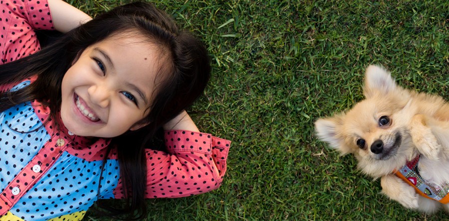 Insect Extermination Service