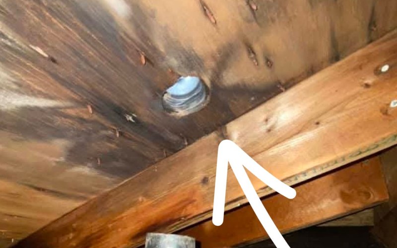 Rodent entry point around attic pipe penetration in Jacksonville home